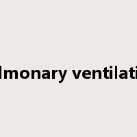 pulmonary ventilation是什么意思