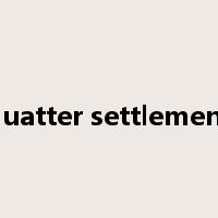 squatter settlements是什么意思