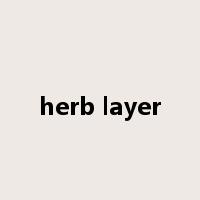herb layer是什么意思