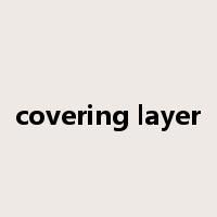 covering layer是什么意思