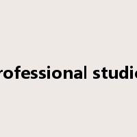 professional studies是什么意思