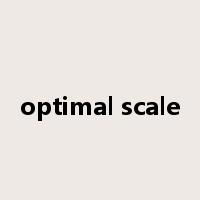 optimal scale是什么意思