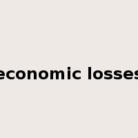 economic losses是什么意思