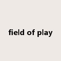 field of play是什么意思