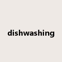 dishwashing是什么意思