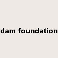 dam foundation是什么意思