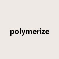polymerize是什么意思