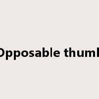 Opposable thumb是什么意思