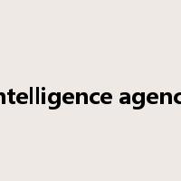 intelligence agency是什么意思