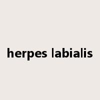 herpes labialis是什么意思