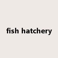 fish hatchery是什么意思