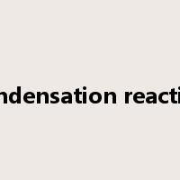 condensation reaction是什么意思