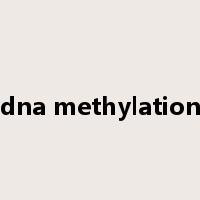 dna methylation是什么意思