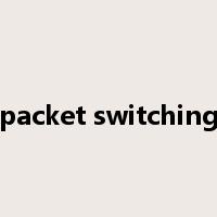 packet switching是什么意思
