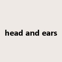 head and ears是什么意思