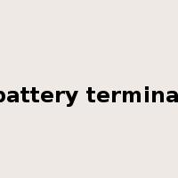 battery terminal是什么意思