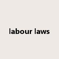 labour laws是什么意思