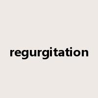 regurgitation是什么意思