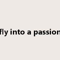 fly into a passion是什么意思