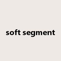 soft segment是什么意思