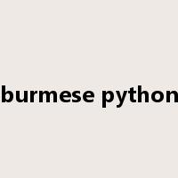 burmese python是什么意思