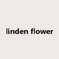 linden flower是什么意思