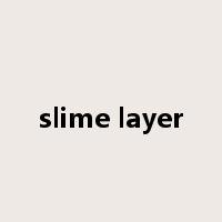 slime layer是什么意思