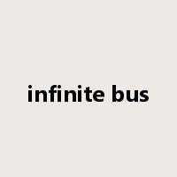 infinite bus是什么意思