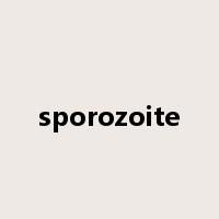 sporozoite是什么意思