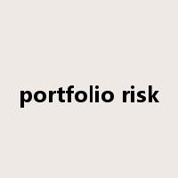 portfolio risk是什么意思