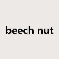 beech nut是什么意思