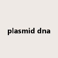plasmid dna是什么意思