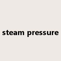 steam pressure是什么意思