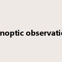 synoptic observation是什么意思