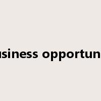 business opportunity是什么意思