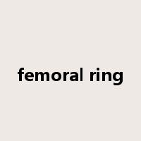 femoral ring是什么意思