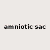amniotic sac是什么意思