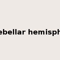 cerebellar hemisphere是什么意思