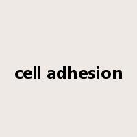 cell adhesion是什么意思