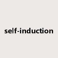 self-induction是什么意思