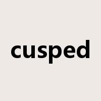 cusped是什么意思