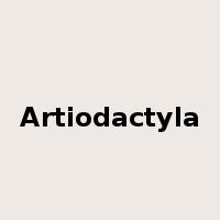 Artiodactyla是什么意思