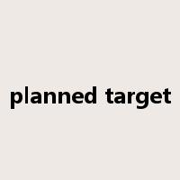 planned target是什么意思
