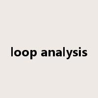 loop analysis是什么意思