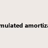accumulated amortization是什么意思