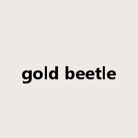 gold beetle是什么意思