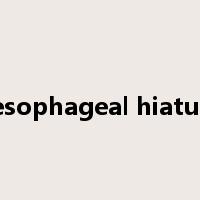 esophageal hiatus是什么意思