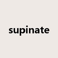 supinate是什么意思
