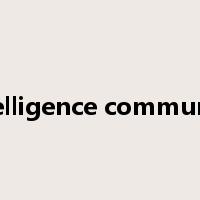 intelligence community是什么意思