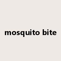 mosquito bite是什么意思